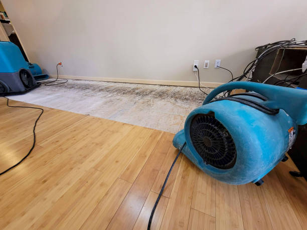 Professional Water Damage Repair technician working in Pigeon, MI